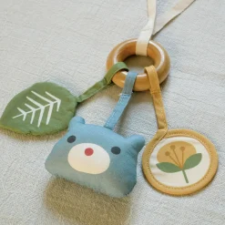 Birk Teddy Activit Toy